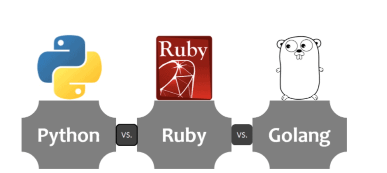 web development in dubai programming languages comparison guide